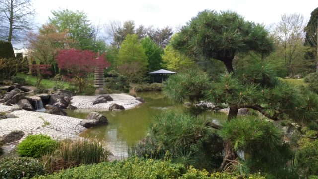 ボンの日本庭園